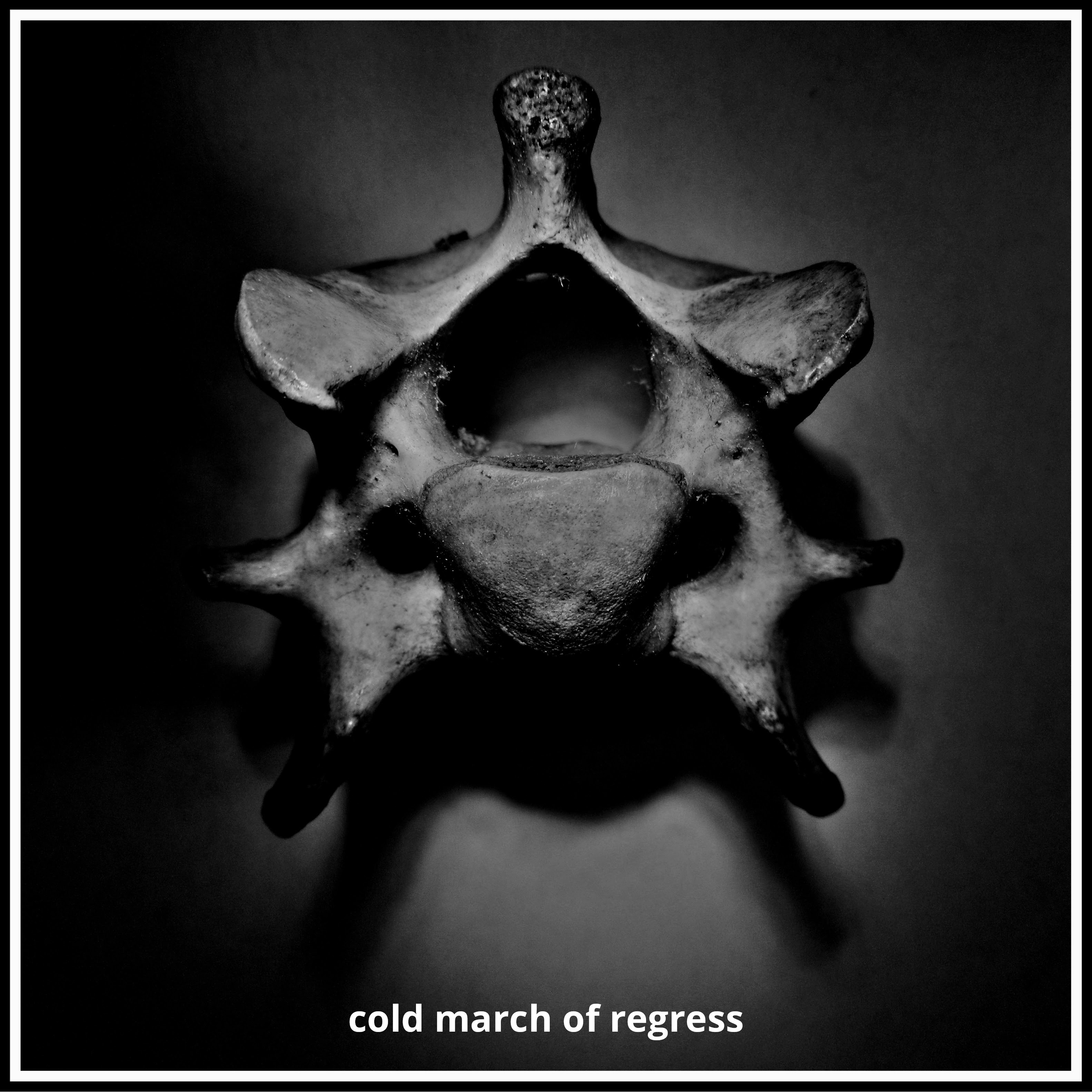 VARIOUS - Cold March of Regress (w/ HOMEMADE WEAPONS remix) (Pre Order: Mid Nov)