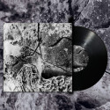 ANGEL SCIENCE - Morning Stone