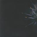 REFRACTED - In Veil EP