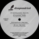 VARIOUS ARTISTS - Dissymmetrical Vinyl 06