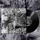 ANGEL SCIENCE - Morning Stone