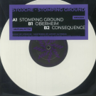 STOJCHE -  Stomping Ground (10" inch)