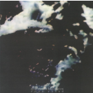 SPACE DRUM MEDITATION - Four Tusks LP